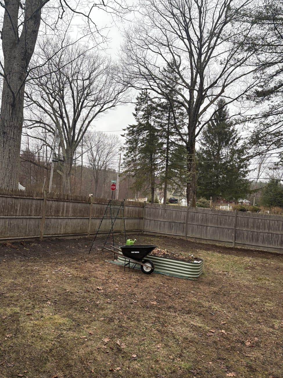 After: Yard & Debris Haul-Off · Central MA