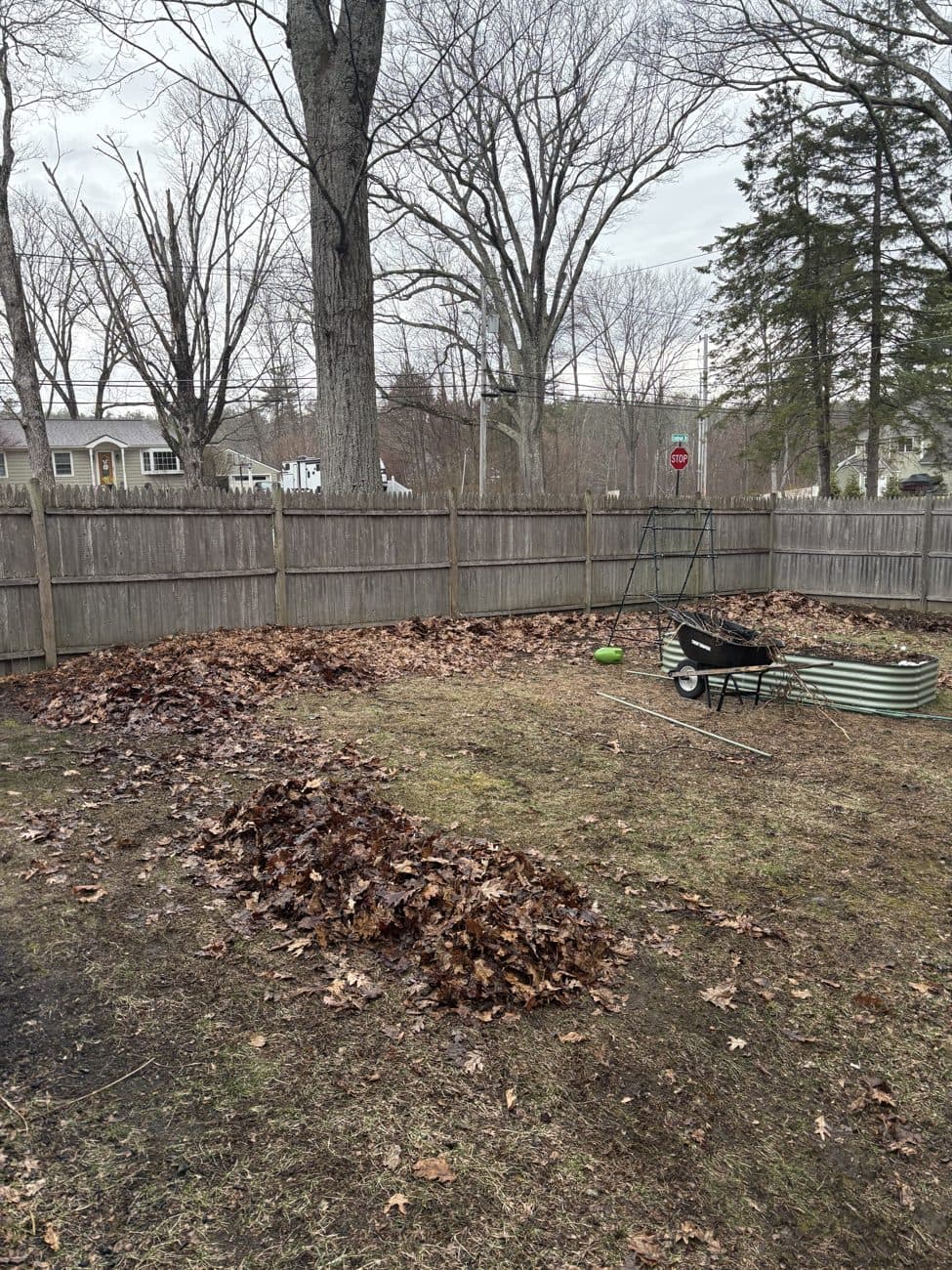 Before: Yard & Debris Haul-Off · Central MA